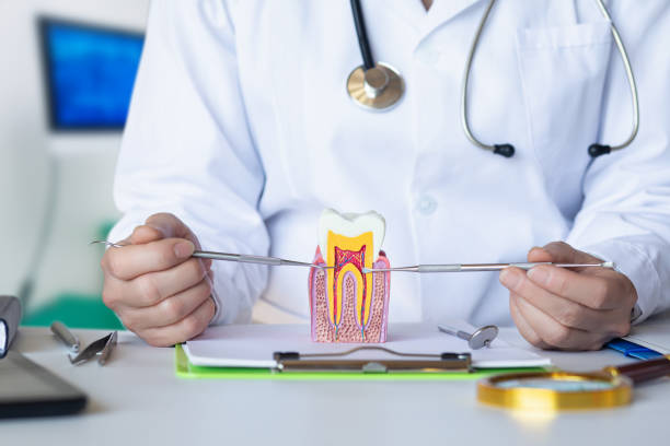 Best Emergency Root Canal Treatment in Troy, MI